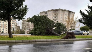 Kahramanmaraş’ta Fırtına Alarmı: 90 Km’yi Aşan Rüzgâr Geliyor!