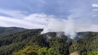 Kahramanmaraş’ta Orman Yangını Alarmı: 5 Helikopterle Müdahale Ediliyor!
