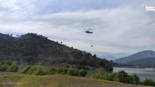 Kahramanmaraş’ta Orman Yangını Korkuttu: 5,5 Hektarlık Alan Kül Oldu