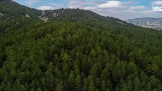 Kahramanmaraş’ta Ormanlara Giriş 5 Ay Yasaklandı: Ateş Yakan Yandı!