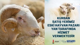 Onikişubat Belediyesi’nden Kurban Kesimi İçin 4 Noktada Hizmet