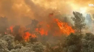 Eskişehir'de Yangın Operasyonu Facia ile Sonuçlandı: 10 Şehidimiz Var!