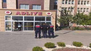 Kahramanmaraş’ta Jandarmadan 1 Haftada Terör, Uyuşturucu ve Kaçakçılık Operasyonu
