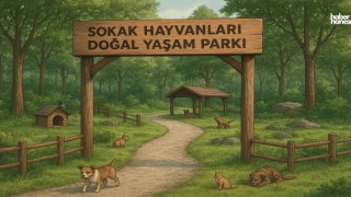 Kahramanmaraş Sahipsiz Hayvanları Koruma Birliği Kuruldu