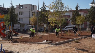 Şehitkamil’de Yeşil Dönüşüm Başladı: Selimiye Parkı Baştan Aşağı Yenileniyor