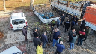 Kahramanmaraş Büyükşehir’den Bin 500 Üreticiye 193 Bin Adet Fidan Desteği