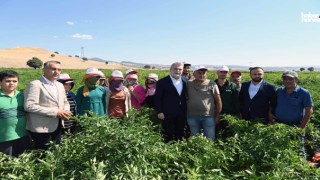 Kahramanmaraş Büyükşehir’den 2025’te Çiftçiye 100 Milyonluk Destek, Üretime Güç