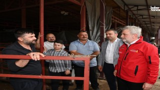 Başkan Görgel Canlı Hayvan Pazarı’nda: “Bayram Boyunca Tüm Ekiplerimiz Sahada Olacak”