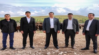 Başkan Umut Yılmaz Kurbanlık Fiyatlarını Açıkladı: Fırsatçılığa Geçit Yok