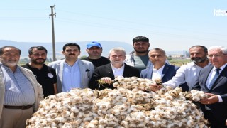 Başkan Görgel: “Pazarcık Sarımsağının Tescil Süreci Sona Geldi”