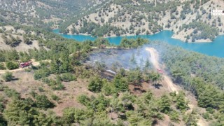Kahramanmaraş’ta Ormanlık Alan Alevlere Teslim Oldu