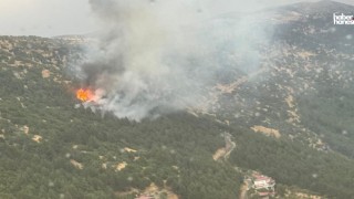 Kahramanmaraş’ta Yangın Alarmı! Bir Günde 11 Yangın Çıktı, Tamamı Kontrol Altına Alındı