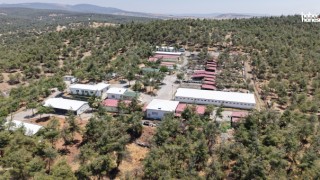 Büyükşehir ve Sahipsiz Hayvanları Koruma Birliği’nden 5 Binin Üzerinde Can Dostuna Güvenli Yaşam Alanı