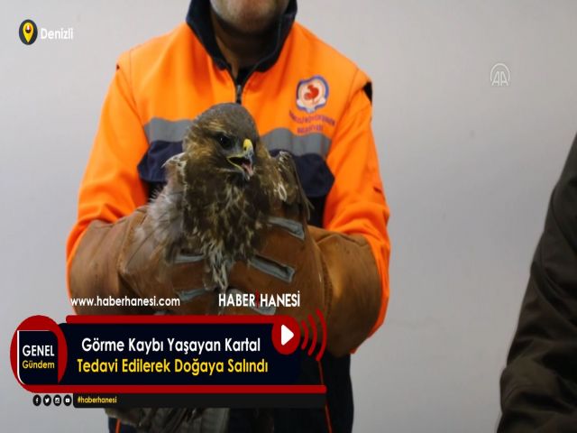 Görme Kaybı Yaşayan Kartal Tedavi Edilerek Doğaya Salındı