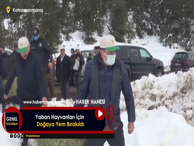Yaban Hayvanları İçin Doğaya Yem Bırakıldı