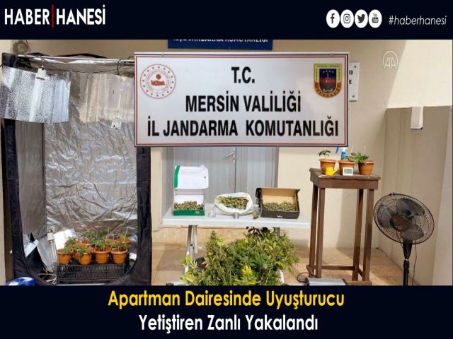 Apartman Dairesinde Uyuşturucu Yetiştiren Zanlı Yakalandı