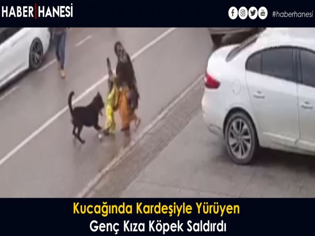 Kucağında Kardeşiyle Yürüyen Genç Kıza Köpek Saldırdı